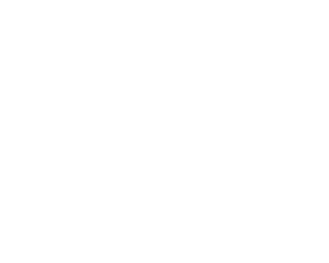 Friedmann Violins